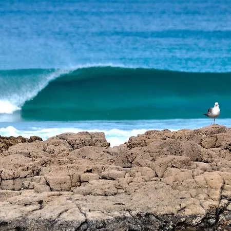 Native Coconut House * Κοραλέχο